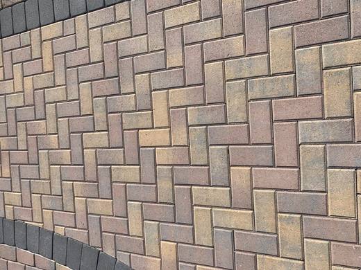Holland, photo courtesy of Las Vegas Paver