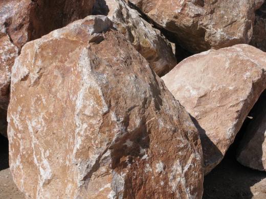 Anasazi Boulders, photo courtesy of Star Nursery