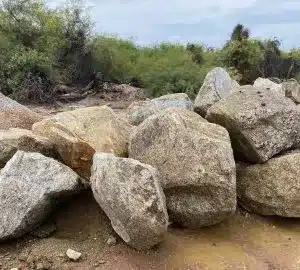 Mohave Gold Boulders, photo courtesy of Bedrock Landscape Supply