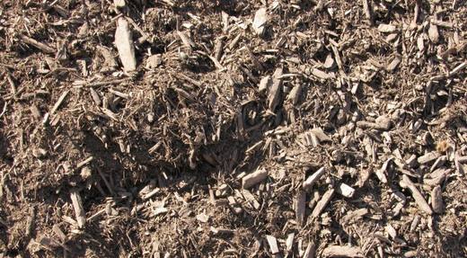 Organic Compost, photo courtesy of Star Nursery