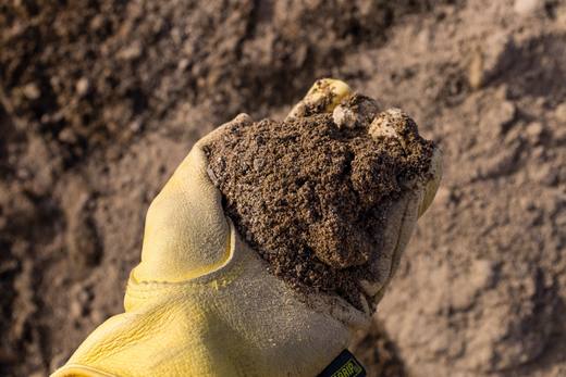 Planter Mix, photo courtesy of Bedrock Landscape Supply