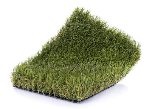 Absolute, photo courtesy of Realturf