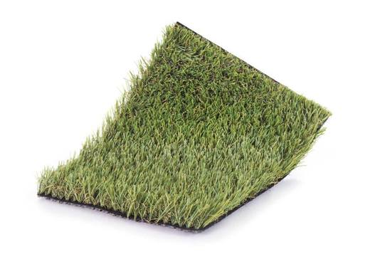 Moss, photo courtesy of Realturf