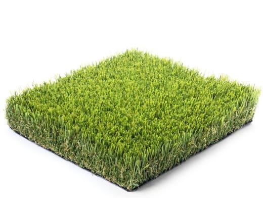 Platinum-115, photo courtesy of Festival Turf