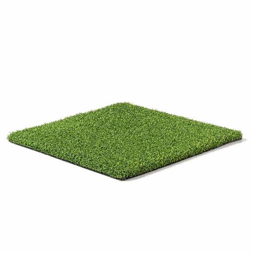 Putt Pro-75, photo courtesy of Festival Turf